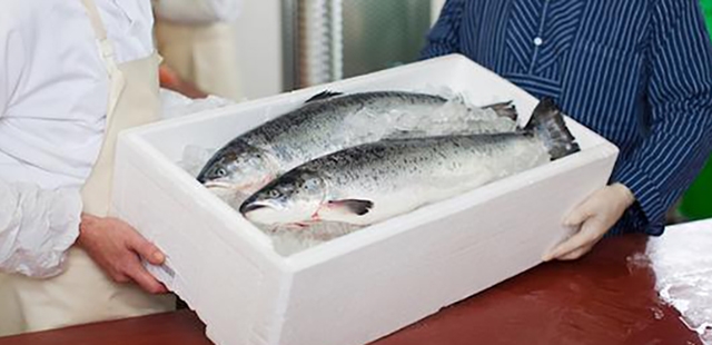 泡沫包裝箱在(zài)使用中發揮作用是什麽